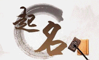 慧展专业图片压缩器绿色纯净版