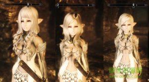 上古卷轴5天际剑灵白鸟时装MOD绿色纯净版