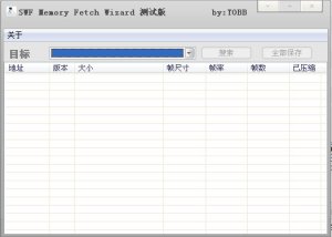 SWF内存提取器(SWF Memory Fetch Wizard)