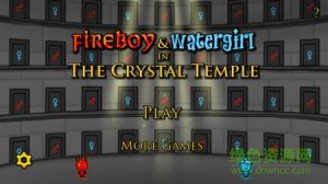 森林冰火人双人迷宫游戏 v1.2.6 Android最新
