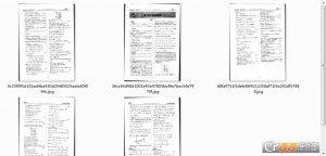 衡水金卷理综一试题及答案最新版