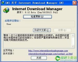Internet Download Manager 6.12.26中文破解版