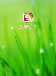 搜狗壁纸iPad版